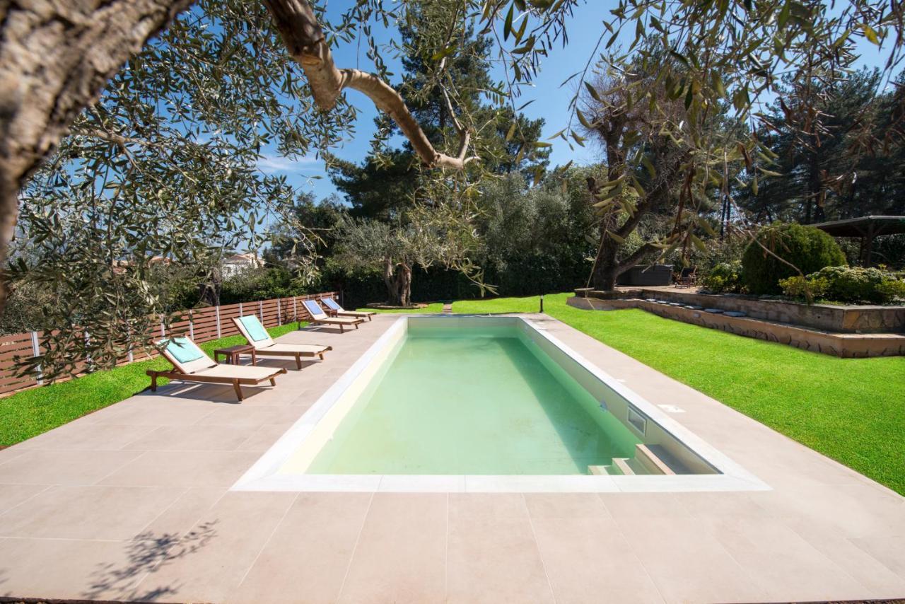 Spyrelia Villa With Private Pool & Outdoor Hot Tub 达西亚 外观 照片